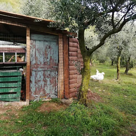 Farm stay Conte Brunello *