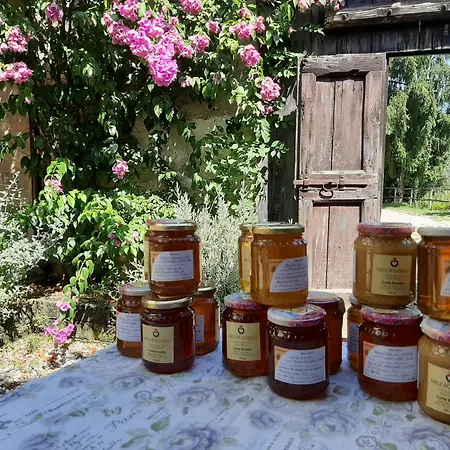 Farm stay Conte Brunello *