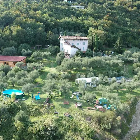 Conte Brunello * Salo