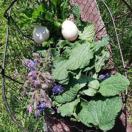 Farm stay Conte Brunello Salo